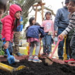 花壇作り　２月１４日(木）