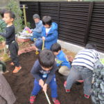 花壇作り　２月１４日(木）