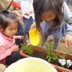 ことり組　クッキング・お花植え　２月２８日・３月１日