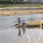 ひよこ組、ことり組　賀茂川お散歩　３月１２日（火）