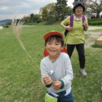 ひかり組　賀茂川お散歩　４月１９日（金）