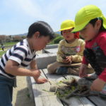 ことり組　賀茂川お散歩　４月１８日(木)