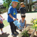 ひかり組　野菜栽培　5月8日（水）