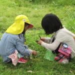 ひかり組　中央園児大会（植物園）　5月9日（木）