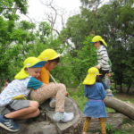 ひかり組　中央園児大会（植物園）　5月9日（木）