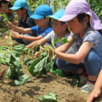 ひかり組　５月１５日（水）しゃぼん玉　１７日（金）おいもの苗植え