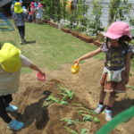 ひかり組　５月１５日（水）しゃぼん玉　１７日（金）おいもの苗植え