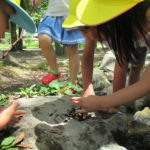 遠足　５月２２日（水）