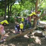 遠足　５月２２日（水）