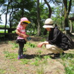 たんぽぽ組　親子遠足　５月３０日（木）