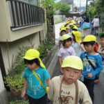 ひかり組・ことり組　賀茂川おさんぽ　６月１４日（金）