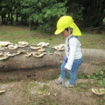 お散歩遠足　１０月２１日（月）