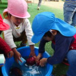 焼いも　１１月１３日（水）