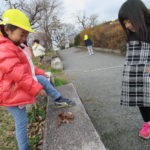 ことり組・ひかり組　賀茂川お散歩　１月１５日（水）