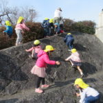 ひよこ組　賀茂川お散歩　1月14日（火）