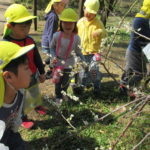 ひかり組　さよなら遠足　３月９日（月）