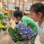 花の日礼拝　６月２５日（木）・２６日（金）