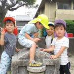 ひよこ組　森が前公園　９月９日（水）