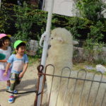 移動動物園　10月13日(水）