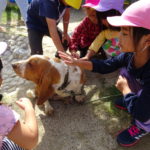 移動動物園　10月13日(水）