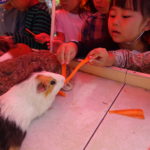 移動動物園　10月13日(水）