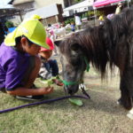 移動動物園　10月13日(水）