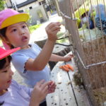 移動動物園　10月13日(水）