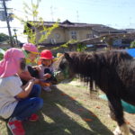 移動動物園　10月13日(水）