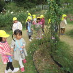 秋の遠足　植物園　１１月１３日（金）