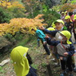 秋の遠足　植物園　１１月１３日（金）