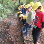 秋の遠足　植物園　１１月１３日（金）