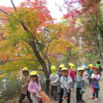 秋の遠足　植物園　１１月１３日（金）