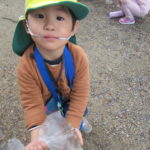 秋の遠足　植物園　１１月１３日（金）