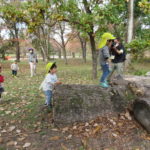 秋の遠足　植物園　１１月１３日（金）