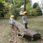 秋の遠足　植物園　１１月１３日（金）