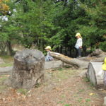 秋の遠足　植物園　１１月１３日（金）