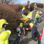 ひよこ組、ひかり組　賀茂川お散歩　2月１０日（水）