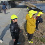 ひよこ組、ひかり組　賀茂川お散歩　2月１０日（水）