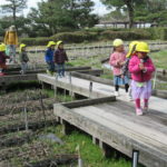 たんぽぽ組・ひよこ組・ことり組・ひかり組　さよなら遠足　３月８日（月）