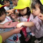 ひよこ組　お散歩「下鴨神社」５月２８日（金）