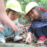 ひよこ組　お散歩「下鴨神社」５月２８日（金）