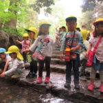 ひよこ組　お散歩「下鴨神社」５月２８日（金）