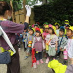 ひよこ組　お散歩　下鴨神社　５月12日（水）