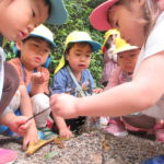 ひよこ組　お散歩　下鴨神社　５月12日（水）