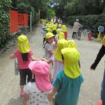 ひかり組　下鴨神社川遊び　６月２日(火)