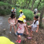 ひかり組　下鴨神社川遊び　６月２日(火)