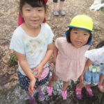 ひかり組　下鴨神社川遊び　６月２日(火)