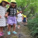 2021年9月24日（金）　ひよこ組　川遊び（下鴨神社）