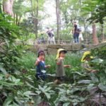 2021年9月24日（金）　ひよこ組　川遊び（下鴨神社）