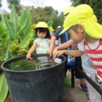 植物園お散歩遠足　10月6日（水）